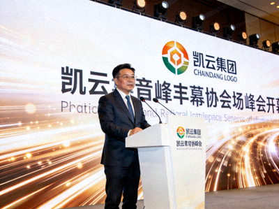 峰会开幕式上，凯云集团董事长正在发表主题演讲，背景是巨大的LED屏幕